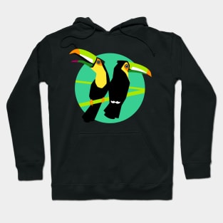 Birds - Tropical toucans Hoodie